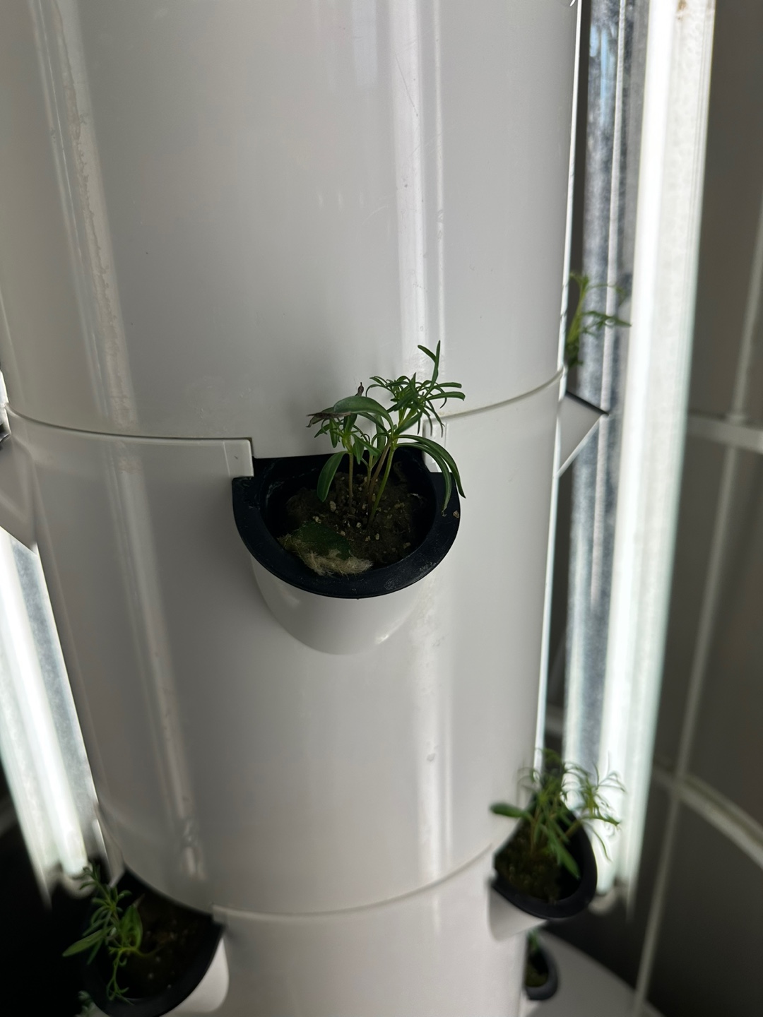 KakaoTalk_Photo_2024-11-06-22-58-54 001 - Amy Chi