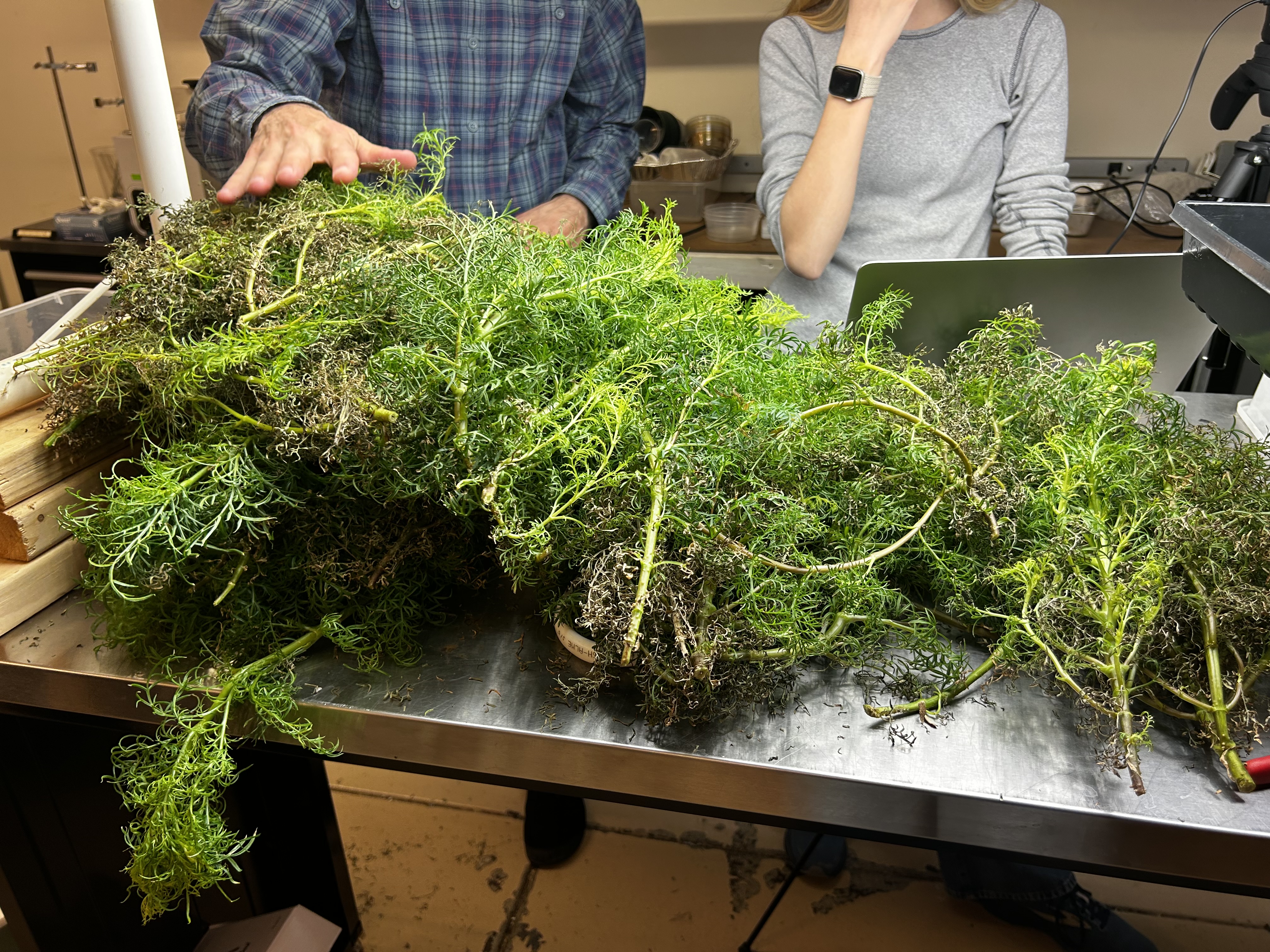 C1859FCC-7C70-4A32-8053-5523B698AAE8 - Esme Aalberts