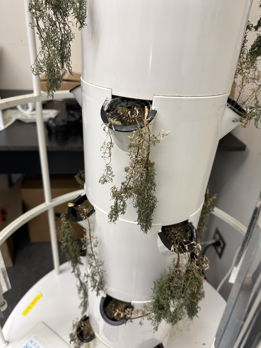 C1859FCC-7C70-4A32-8053-5523B698AAE8 - Esme Aalberts