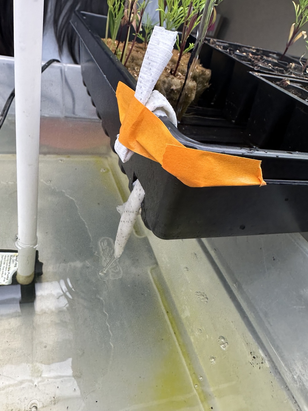 C1859FCC-7C70-4A32-8053-5523B698AAE8 - Esme Aalberts