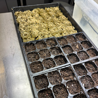 C1859FCC-7C70-4A32-8053-5523B698AAE8 - Esme Aalberts